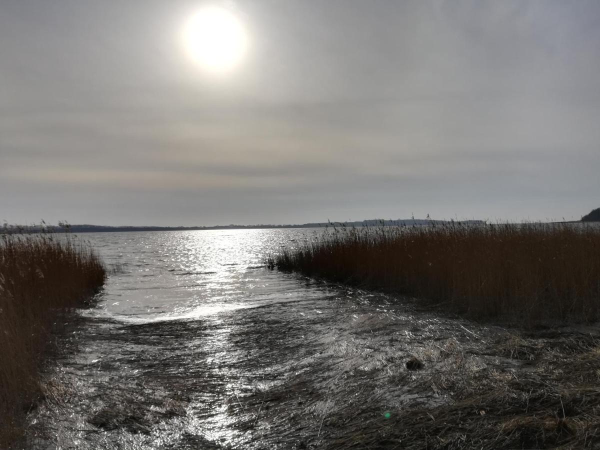 Sellin - Seedorf Am Neuensiener See Apartment 08 Εξωτερικό φωτογραφία